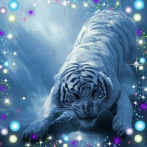 Meet your Posher, Sheila